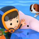 Witness21 Editor  2025 02 01