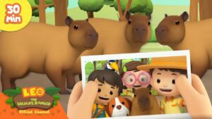 Witness21 Editor  2025 02 27