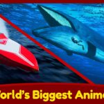 World's Biggest Animal – The Blue Whale – Sea Creatures for Kids - Kingdom Kids Zone, Little Learners - Brain Candy TV