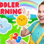 Witness21 Editor  2025 02 24