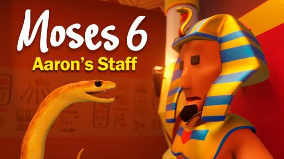 Witness21 Editor  2025 02 15