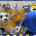 Witness21 Editor  2025 02 04