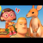 Witness21 Editor  2025 02 08