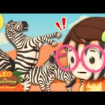 Witness21 Editor  2025 02 13