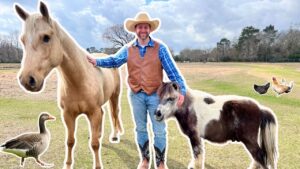 Man in a cowboy hat and vest standing with a large light-brown horse and a small pony in a grassy field, with a duck nearby.