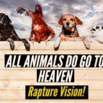 All ANIMALS DO GO TO HEAVEN! RAPTURE VISION 2020! ‣ Witness21