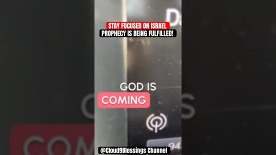 Witness21  2023 12 29