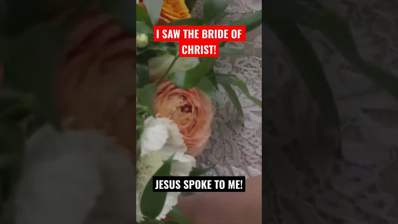 Rapture Vision of the bride of Christ! Jesus is coming #heaven #rapture #prophetic #jesus ‣ Witness21