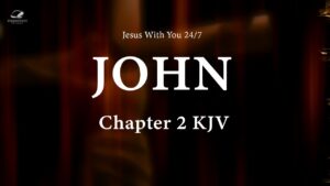 Fall Asleep To John Chapter 2: Holy Bible Audio ‣ Witness21