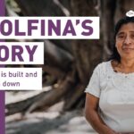 Witness21 Editor  2022 07 30