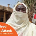 Witness21 Editor  2023 02 26