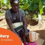 Witness21 Editor  2020 10 09