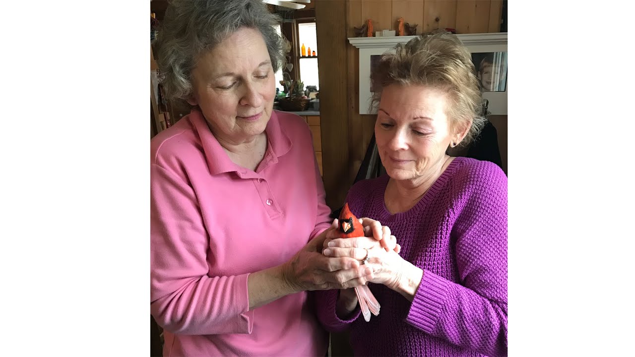 Video – Cardinal Visiting Family the Day After Mom's Funeral - Testimonies - The Unseen Story