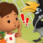 Witness21 Editor  2025 03 15