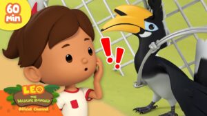 Witness21 Editor  2025 03 15