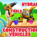 Witness21 Editor  2025 03 31