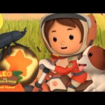 Witness21 Editor  2025 03 08