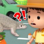 Witness21 Editor  2025 03 29