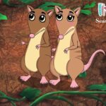 Witness21 Editor  2025 03 10