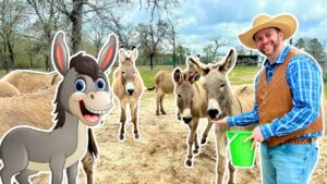 Farmer in a cowboy hat offers food to several donkeys in a dirt yard; a cartoon donkey cutout stands on the left with a bright smile.