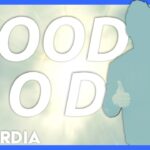 GOOD GOD || MOTIONS & LYRICS || Shout Praises Kids - Kingdom Kids Zone, Sing With Me - Kid Kardia