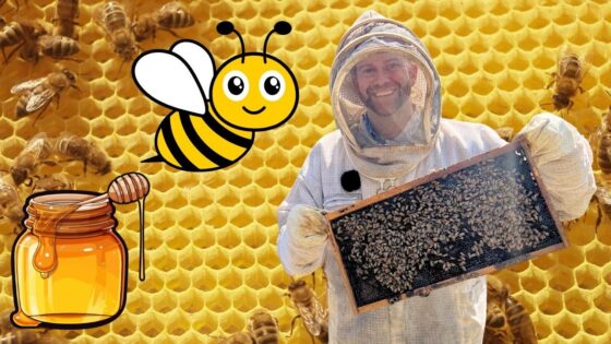 Beekeeper in protective suit holding a honeycomb frame, with a cartoon bee and jar of honey over a honeycomb background.
