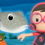 Witness21 Editor  2025 03 13