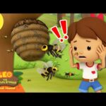 Witness21 Editor  2025 03 01