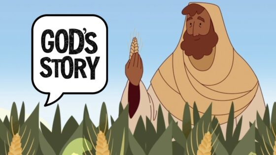 Witness21 Editor  2025 04 28