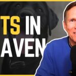 Witness21 Editor  2025 02 26