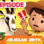 Witness21 Editor  2025 04 24