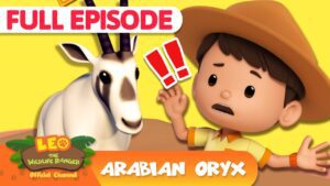 Witness21 Editor  2025 04 24