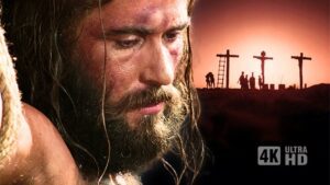 Witness21 Editor  2025 04 18