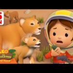 Witness21 Editor  2025 04 05