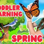 Witness21 Editor  2025 04 14