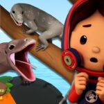 Witness21 Editor  2025 04 26