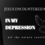 Witness21 Editor  2025 03 31