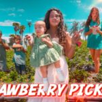 Family and friends stand in a strawberry field, with a woman holding a baby in the center and kids collecting berries, captioned 'Strawberry Picking' in bold text at the bottom.