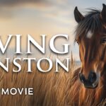 Witness21  2025 05 23