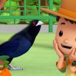 Witness21 Editor  2025 05 23