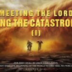 Witness21 Editor  2025 05 26