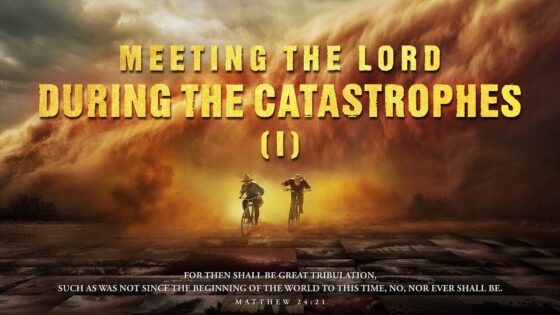 Witness21 Editor  2025 05 26