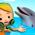 Witness21 Editor  2025 05 17