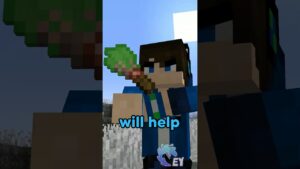 Minecraft, But I Save My Colors… - Gameplay, Kingdom Kids Zone, Minecraft - EYstreem