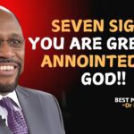 Witness21  2025 05 28