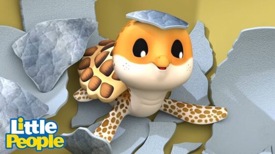 Eddie meets a baby Turtle who needs his help! | Preschool Learning | Little People Fisher Price - Kids TV Series, Kingdom Kids Zone - Little People - Fisher Price