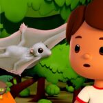 Witness21 Editor  2025 05 30