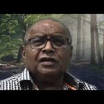 Witness21 Editor  2025 05 17