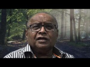 Witness21 Editor  2025 05 17