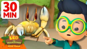 Witness21 Editor  2025 05 10